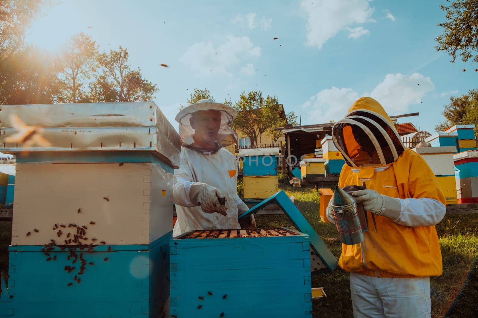 Beekeepers checking honey on the beehive frame in the field. Small business owners on apiary. Natural healthy food produceris working with bees and beehives on the apiary