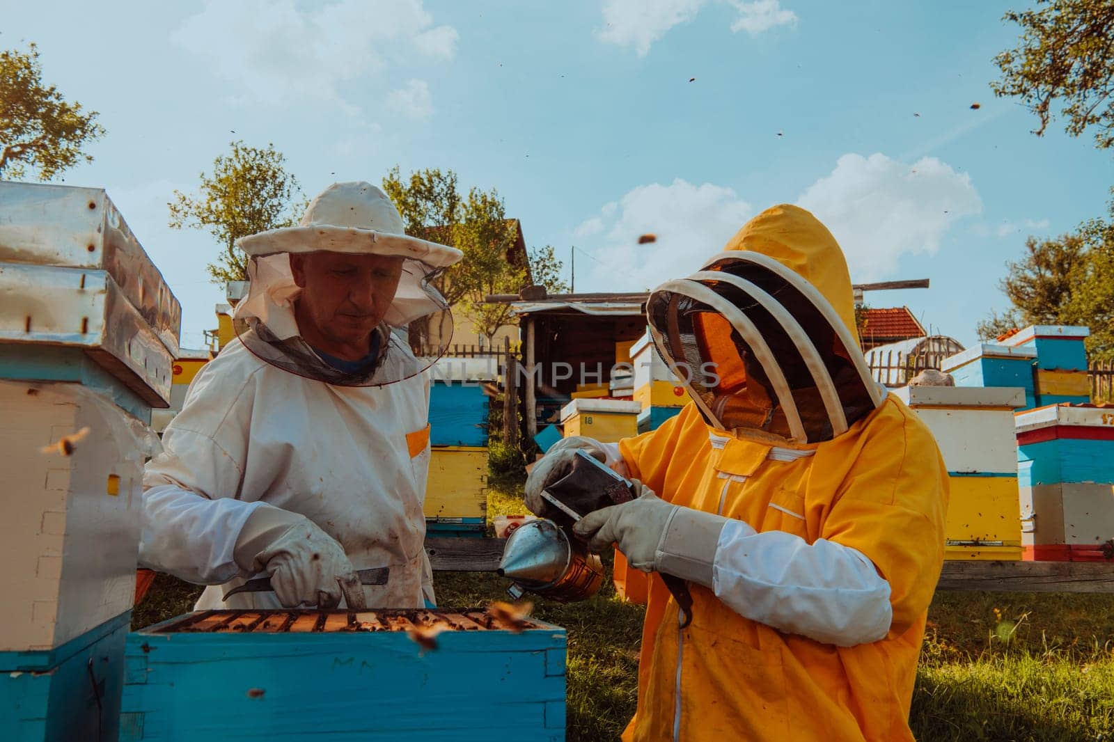 Beekeepers checking honey on the beehive frame in the field. Small business owners on apiary. Natural healthy food produceris working with bees and beehives on the apiary