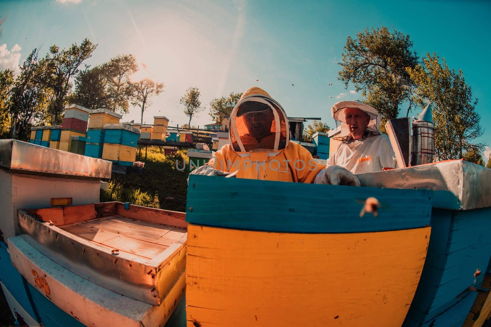 Beekeeper checking honey on the beehive frame in the field. Small business owner on apiary. Natural healthy food produceris working with bees and beehives on the apiary