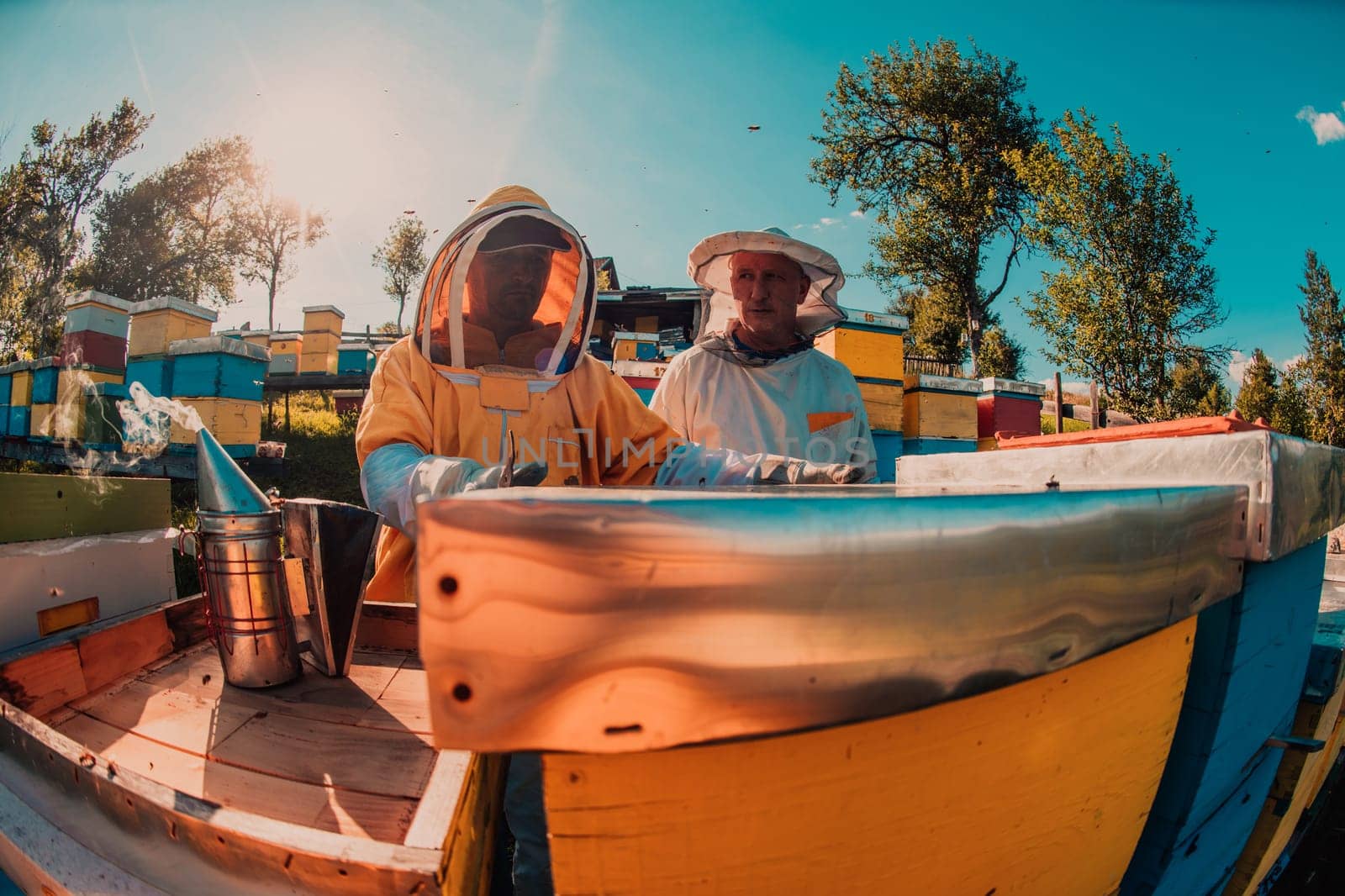 Beekeeper checking honey on the beehive frame in the field. Small business owner on apiary. Natural healthy food produceris working with bees and beehives on the apiary