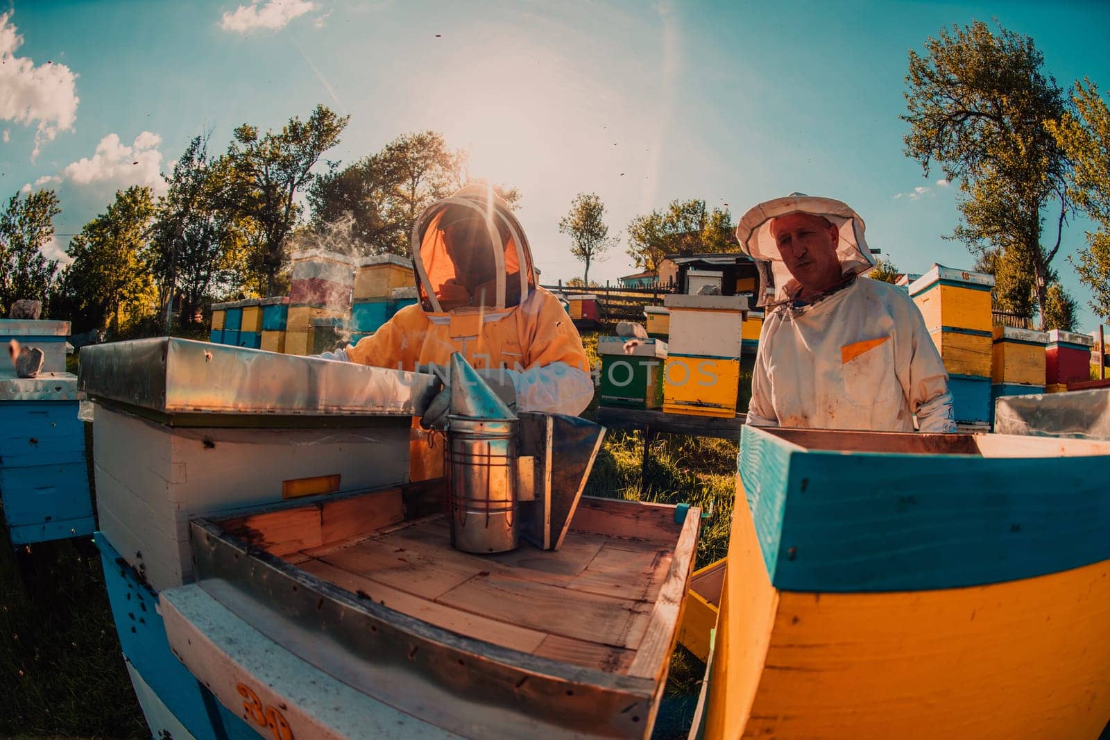 Beekeeper checking honey on the beehive frame in the field. Small business owner on apiary. Natural healthy food produceris working with bees and beehives on the apiary