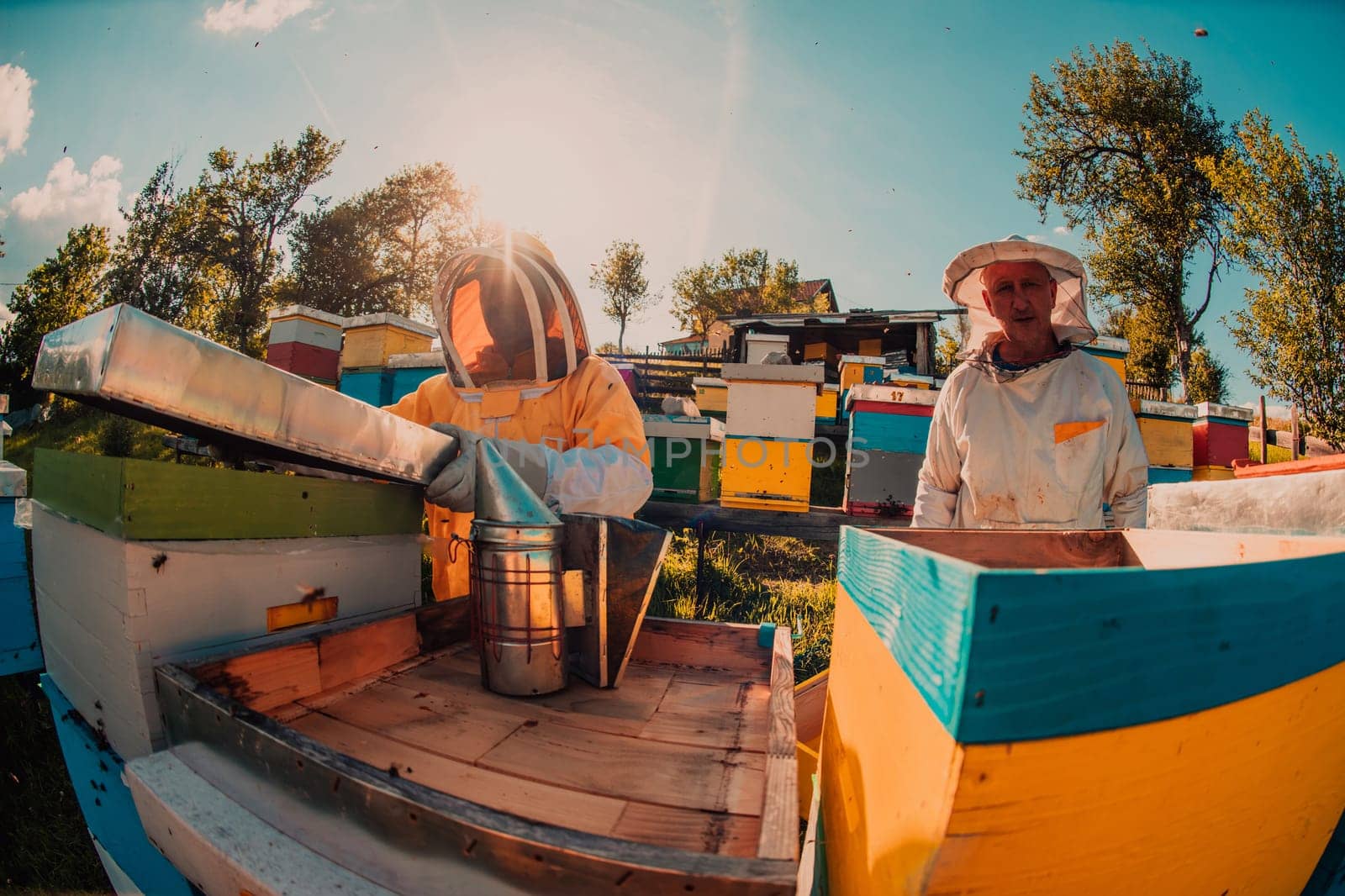 Beekeeper checking honey on the beehive frame in the field. Small business owner on apiary. Natural healthy food produceris working with bees and beehives on the apiary