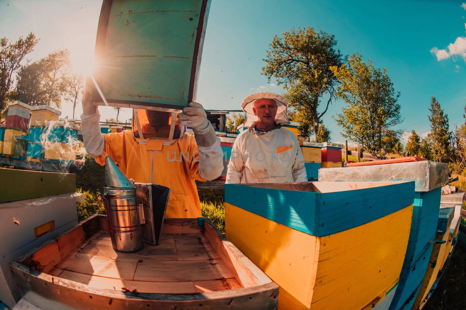 Beekeeper checking honey on the beehive frame in the field. Small business owner on apiary. Natural healthy food produceris working with bees and beehives on the apiary