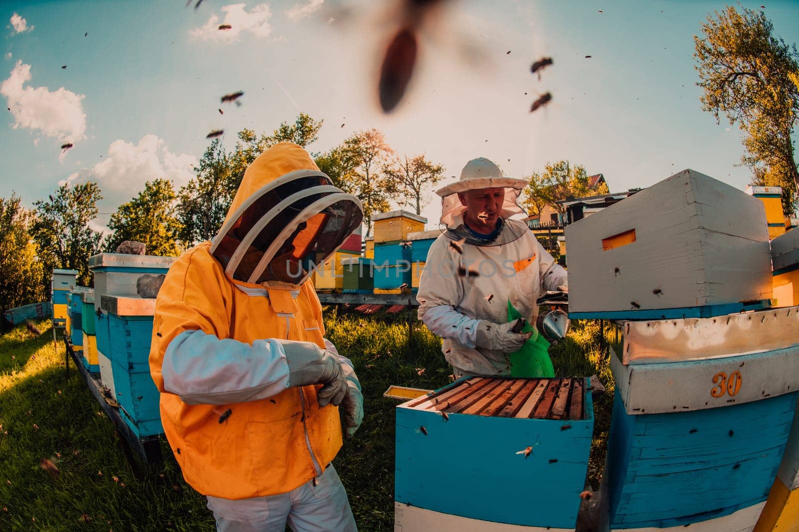 Beekeeper checking honey on the beehive frame in the field. Small business owner on apiary. Natural healthy food produceris working with bees and beehives on the apiary