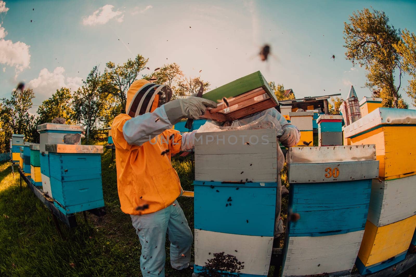 Beekeeper checking honey on the beehive frame in the field. Small business owner on apiary. Natural healthy food produceris working with bees and beehives on the apiary