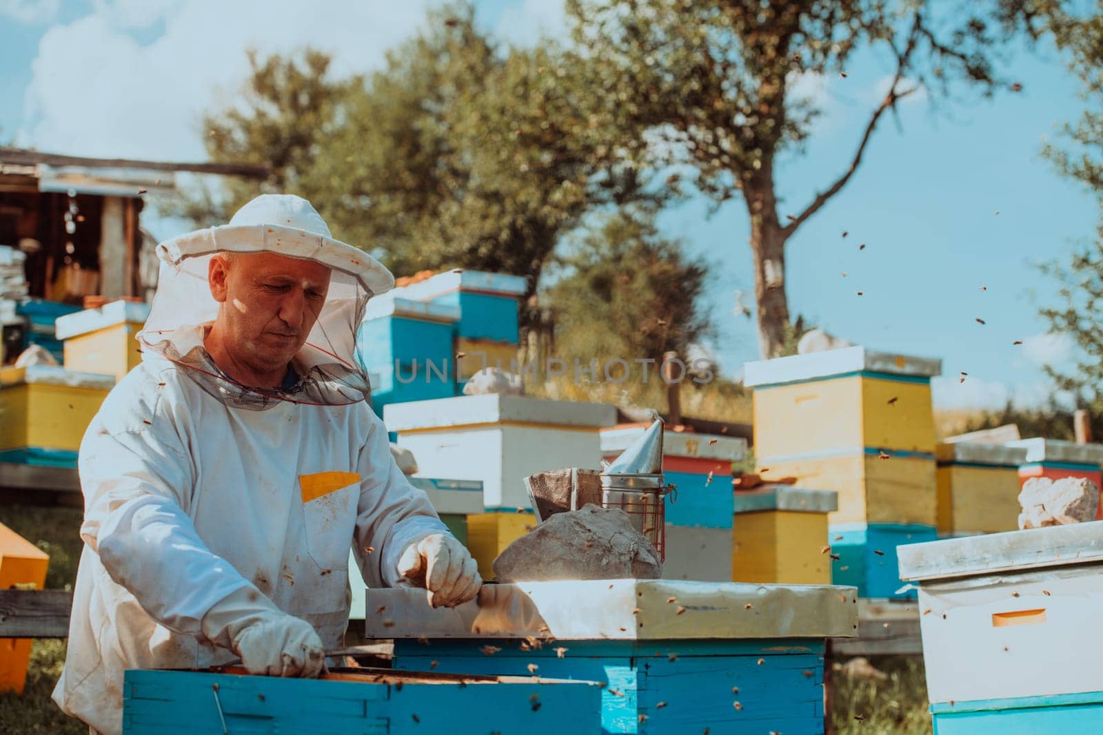 Beekeeper checking honey on the beehive frame in the field. Small business owner on apiary. Natural healthy food produceris working with bees and beehives on the apiary