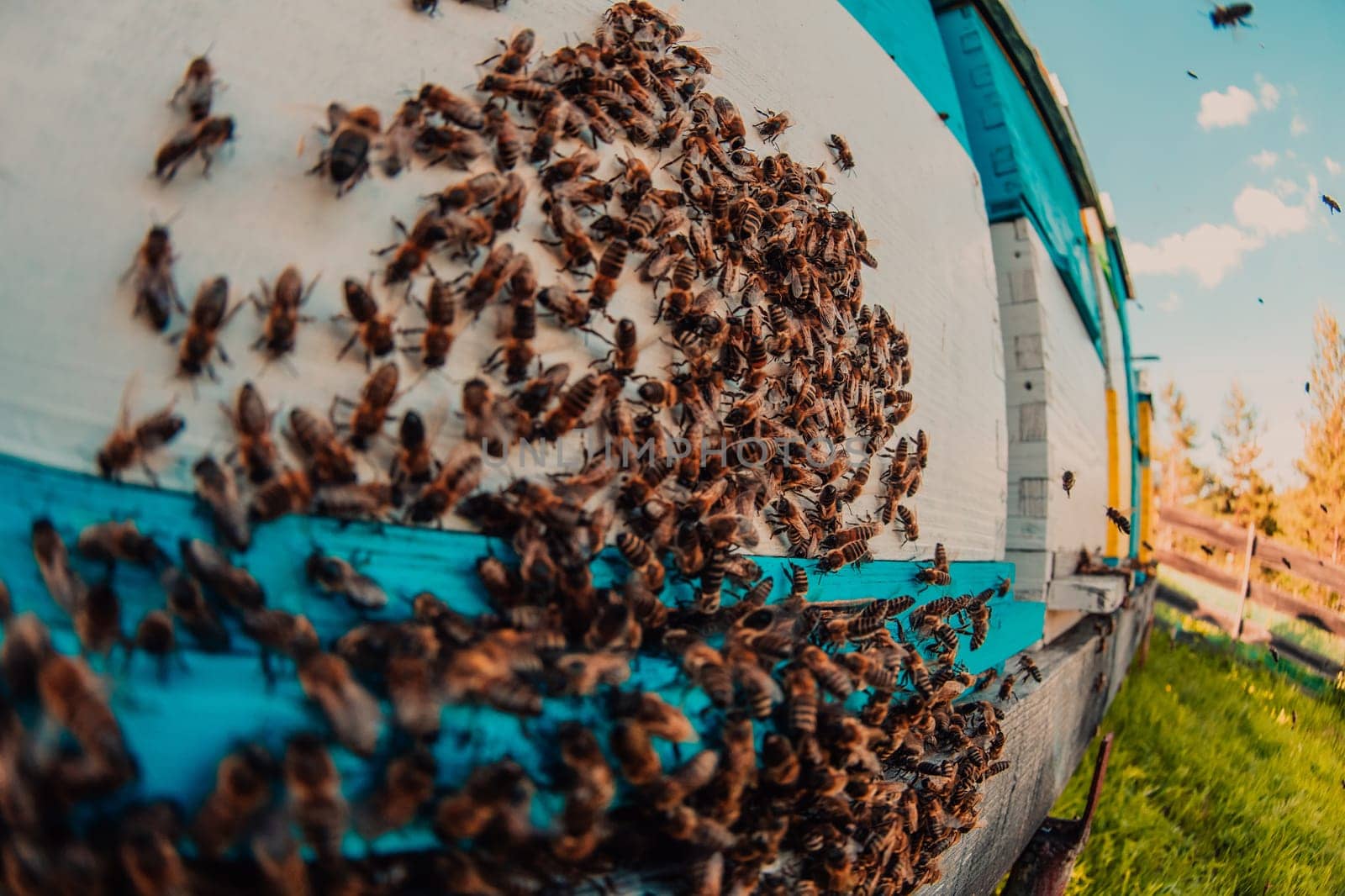 Close up photo of bees hovering around the hive carrying pollen.