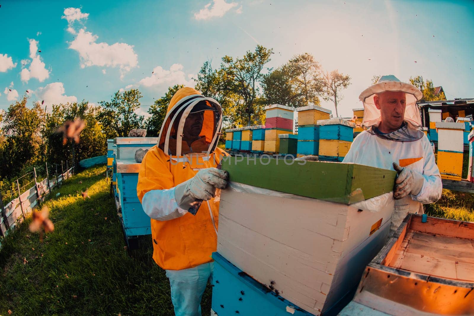 Beekeeper checking honey on the beehive frame in the field. Small business owner on apiary. Natural healthy food produceris working with bees and beehives on the apiary