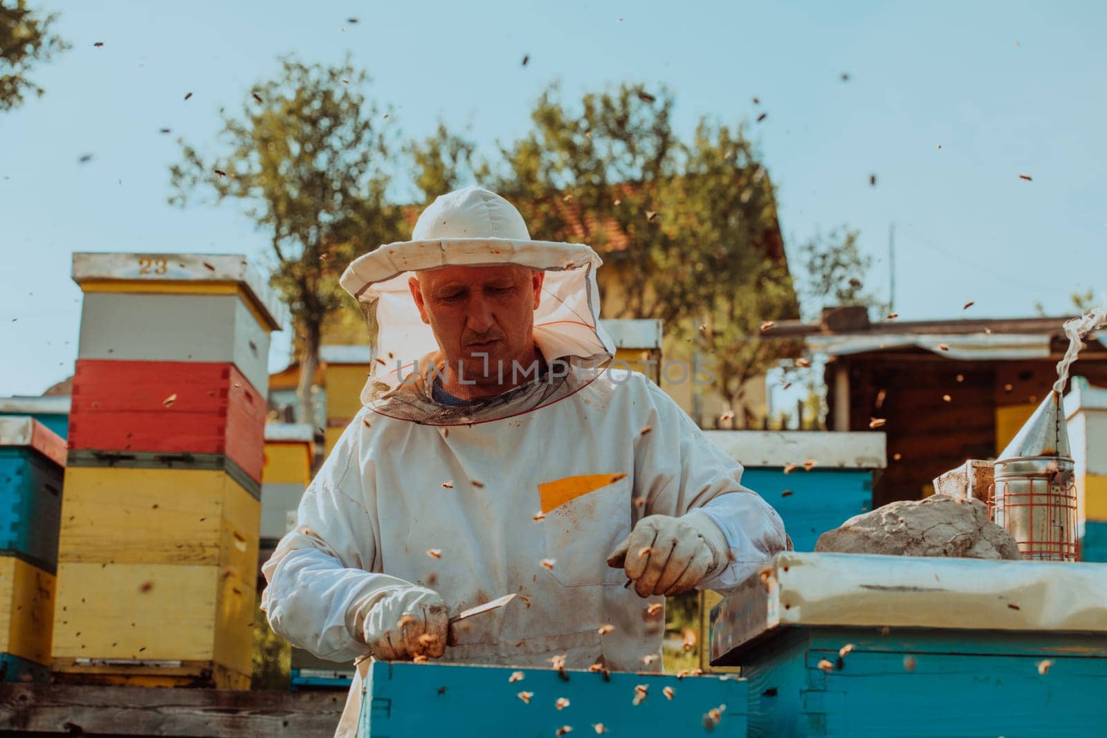 Beekeeper checking honey on the beehive frame in the field. Beekeeper on apiary. Beekeeper is working with bees and beehives on the apiary. by dotshock