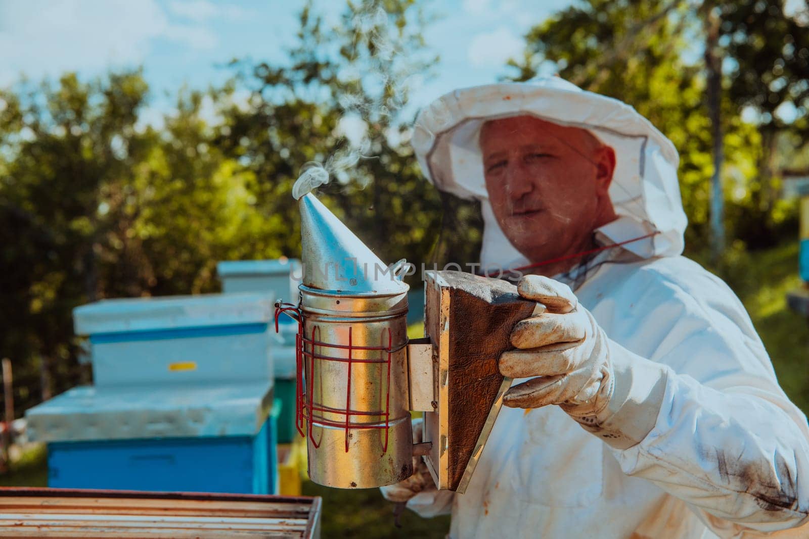 The beekeeper using smoke to calm the bees and begins to inspect the honey.