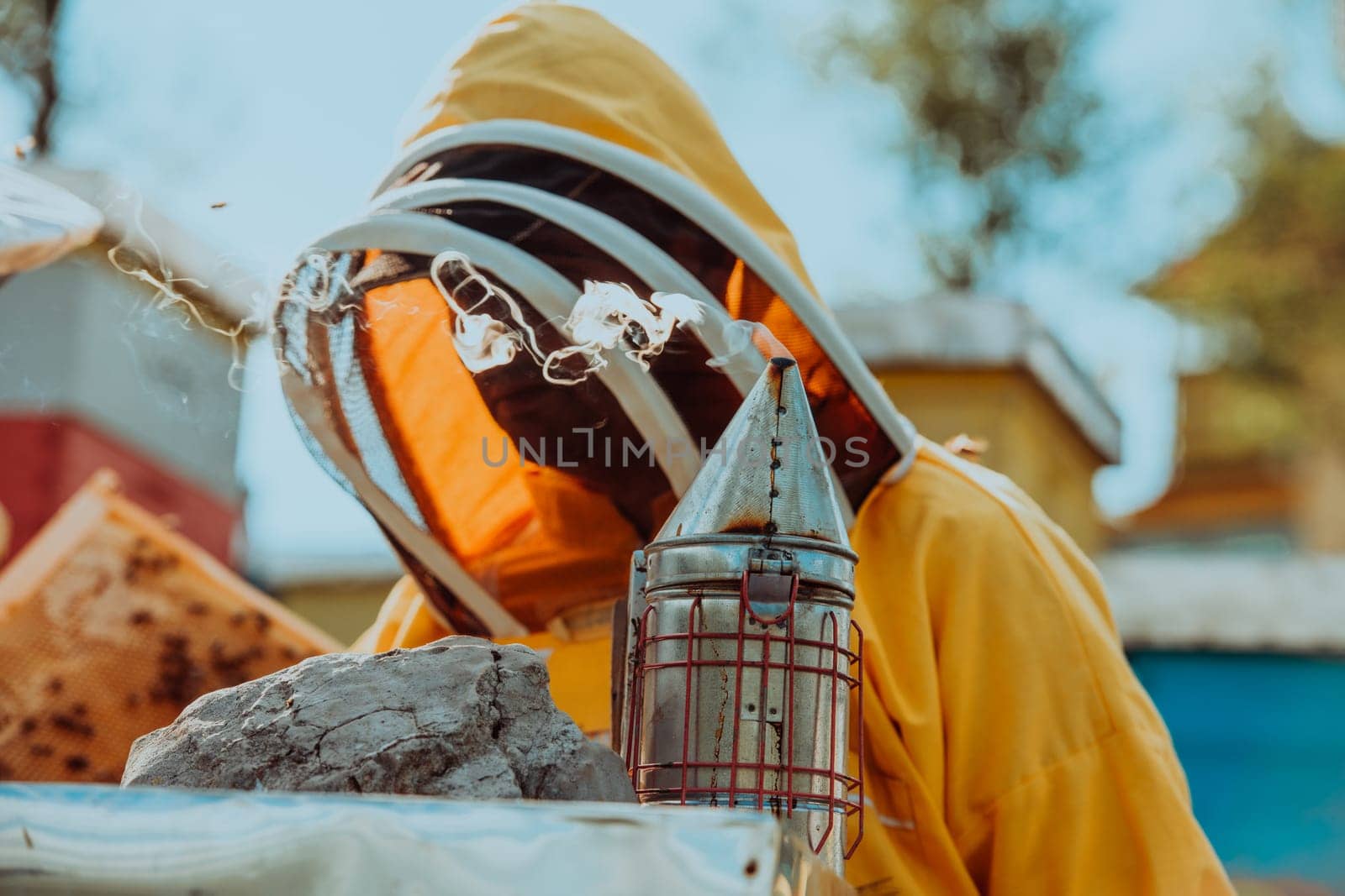 Beekeeper checking honey on the beehive frame in the field. Beekeeper on apiary. Beekeeper is working with bees and beehives on the apiary. Small business concept