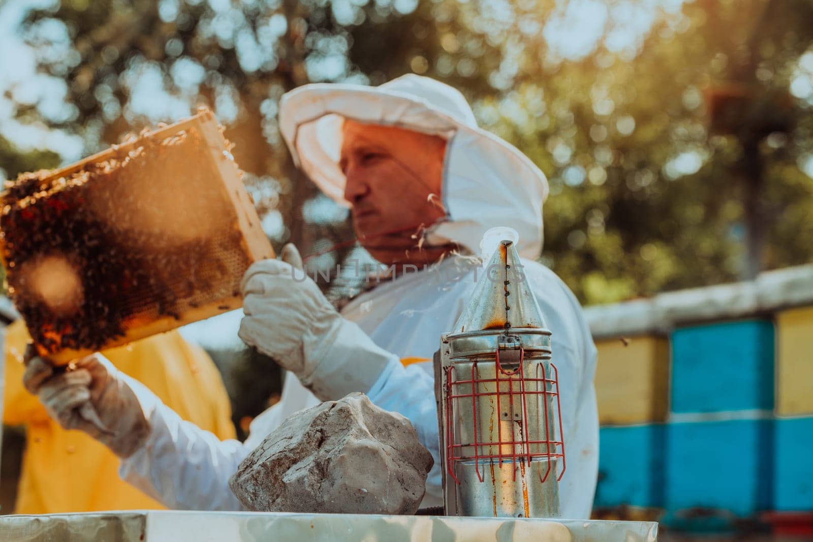 Beekeeper checking honey on the beehive frame in the field. Beekeeper on apiary. Beekeeper is working with bees and beehives on the apiary. Small business concept