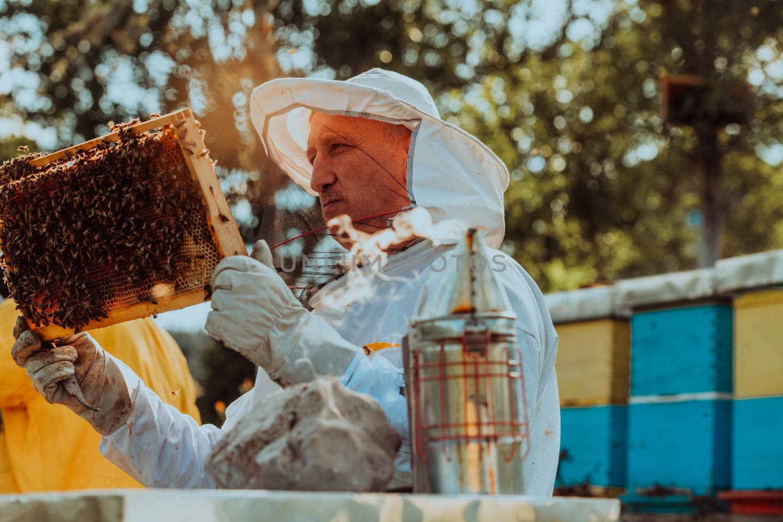 Beekeeper checking honey on the beehive frame in the field. Beekeeper on apiary. Beekeeper is working with bees and beehives on the apiary. Small business concept