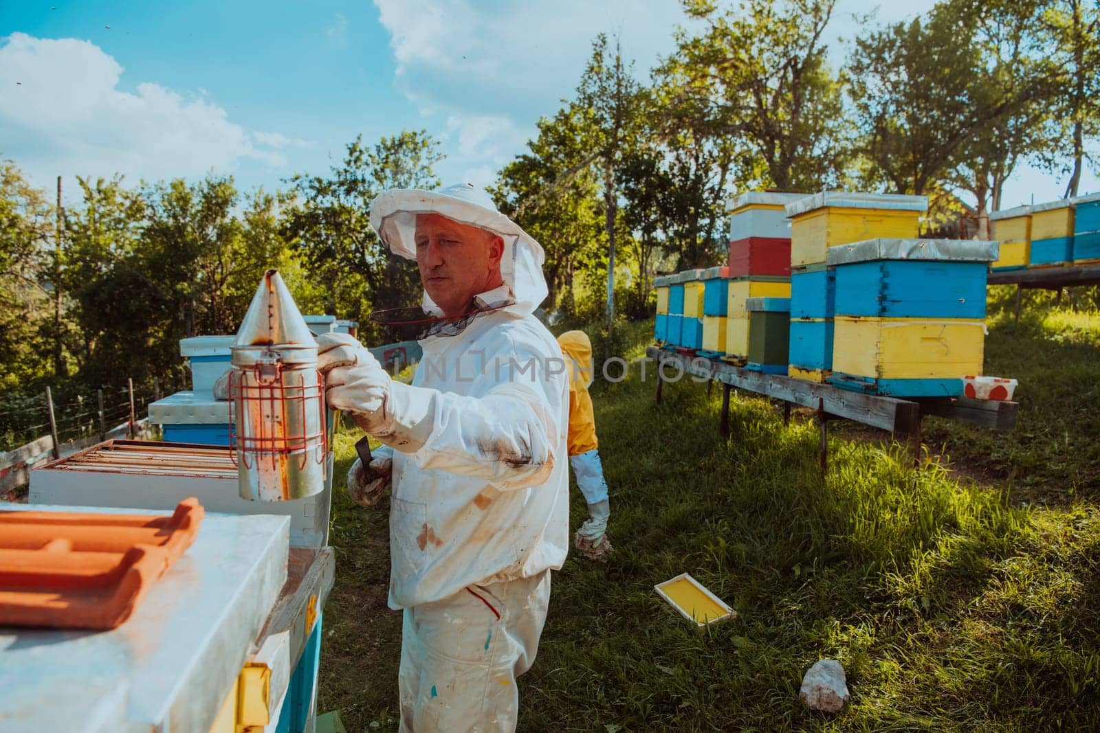 Beekeepers check the honey on the hive frame in the field. Beekeepers check honey quality and honey parasites. A beekeeper works with bees and beehives in an apiary. by dotshock