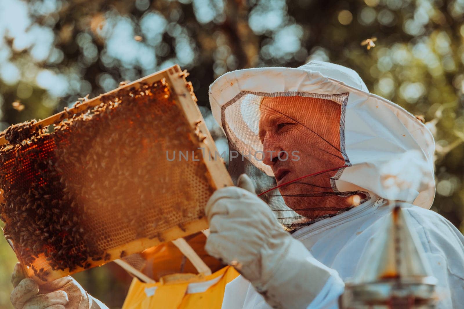 Beekeepers checking honey on the beehive frame in the field. Small business owners on apiary. Natural healthy food produceris working with bees and beehives on the apiary. by dotshock