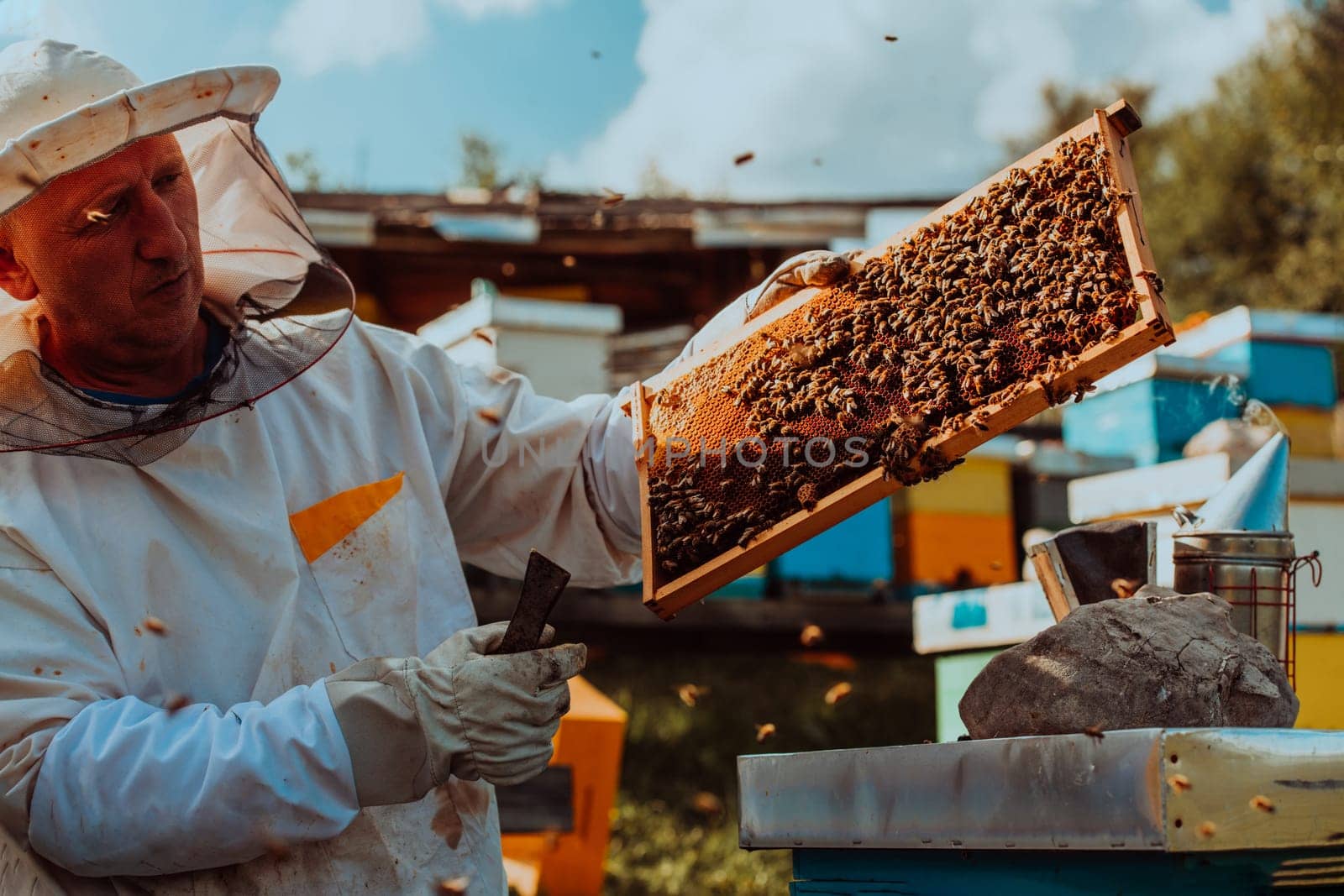 Beekeeper holding the beehive frame filled with honey against the sunlight in the field full of flowers.