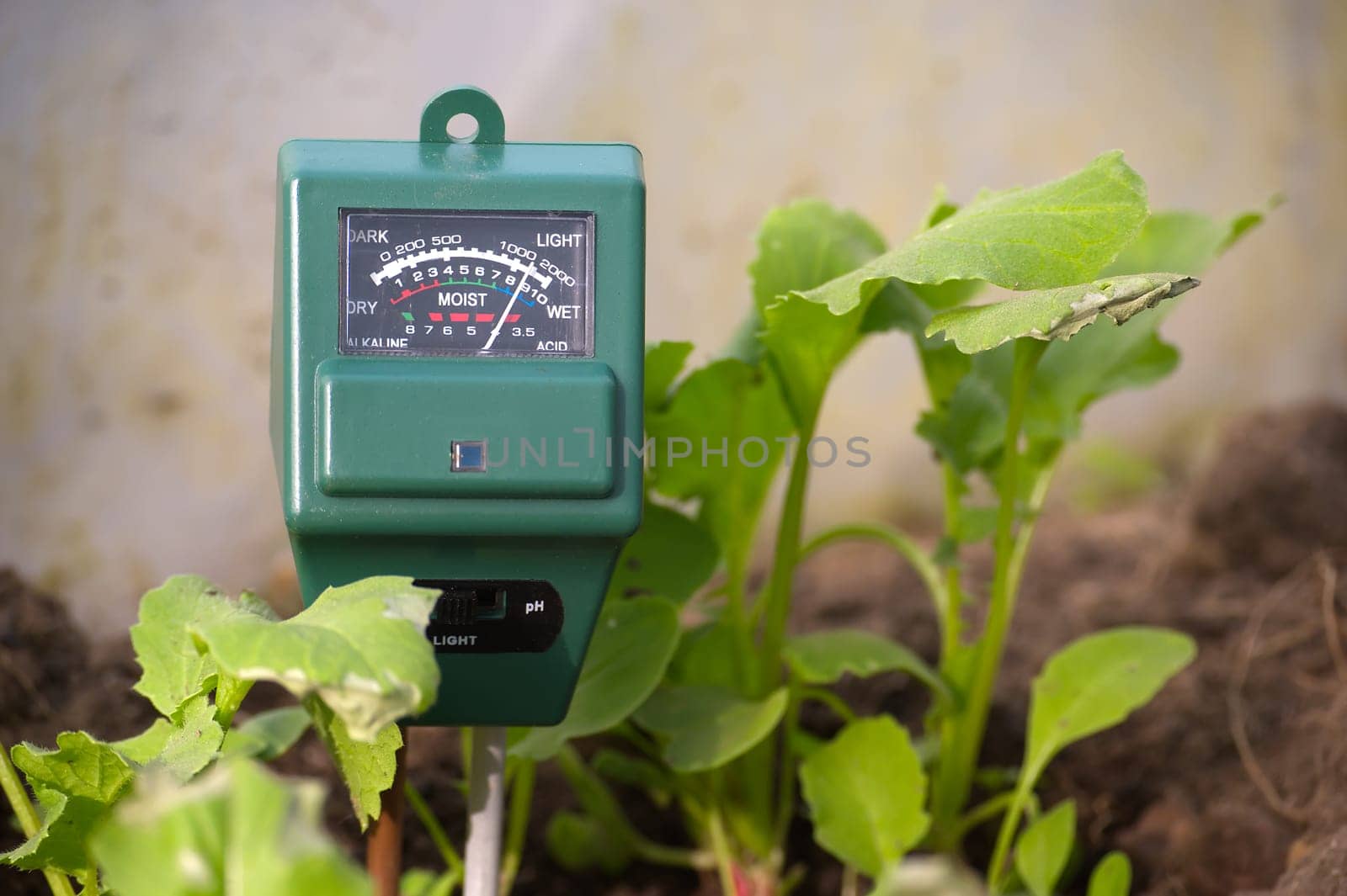 Green plants and three way meter PH, light and moisture in the soil. High technology agriculture concept