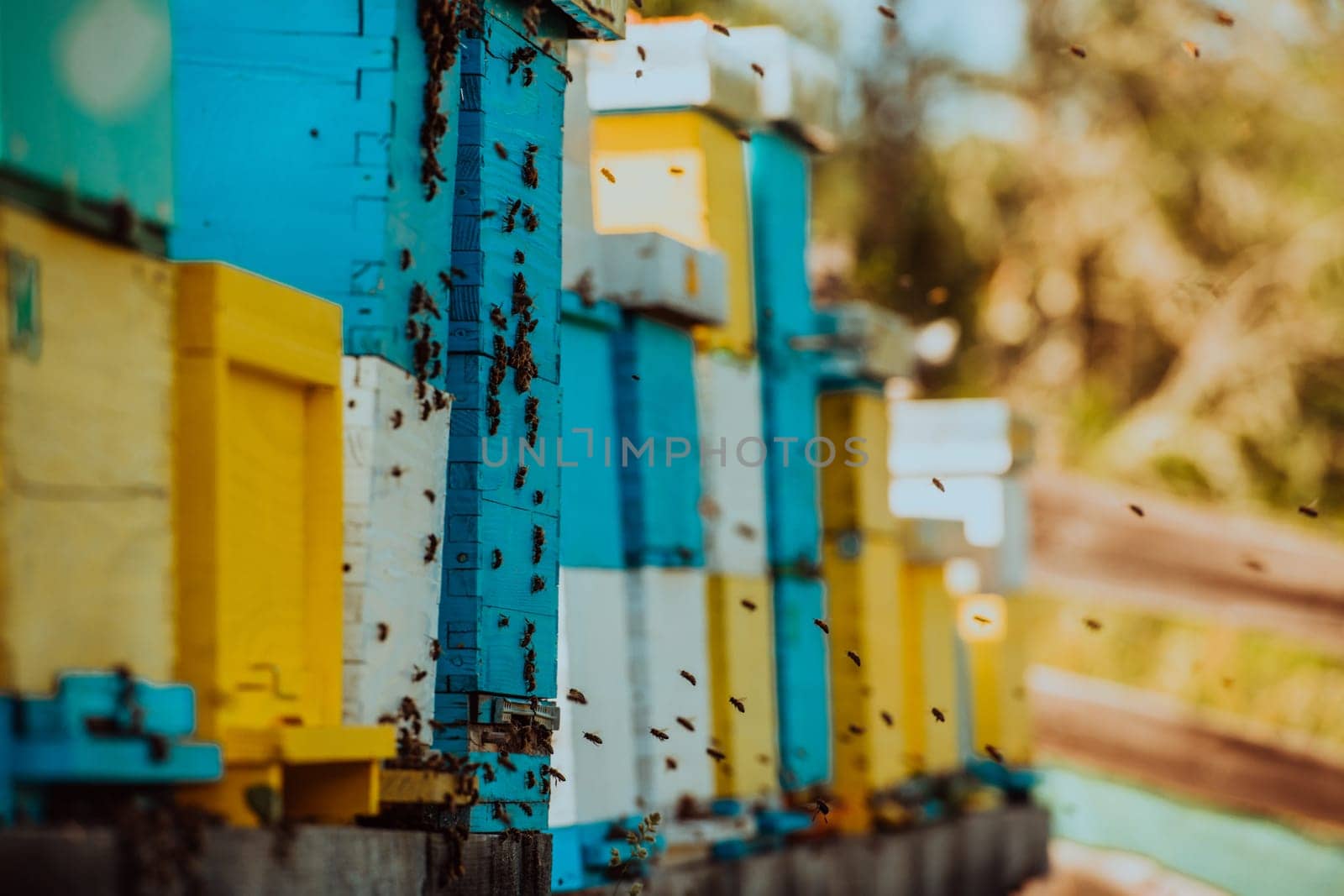 Close up photo of bees hovering around the hive carrying pollen.