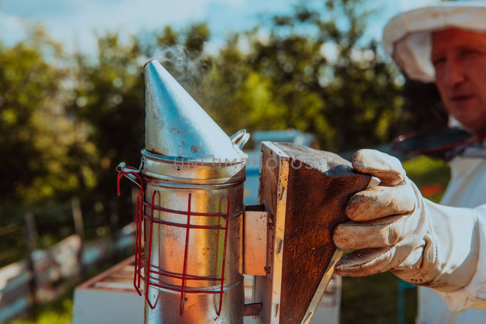 The beekeeper using smoke to calm the bees and begins to inspect the honey.