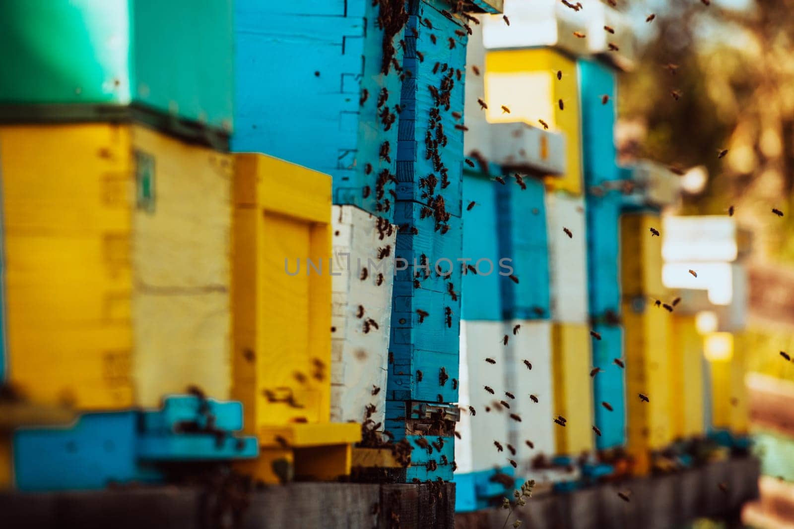 Close up photo of bees hovering around the hive carrying pollen.