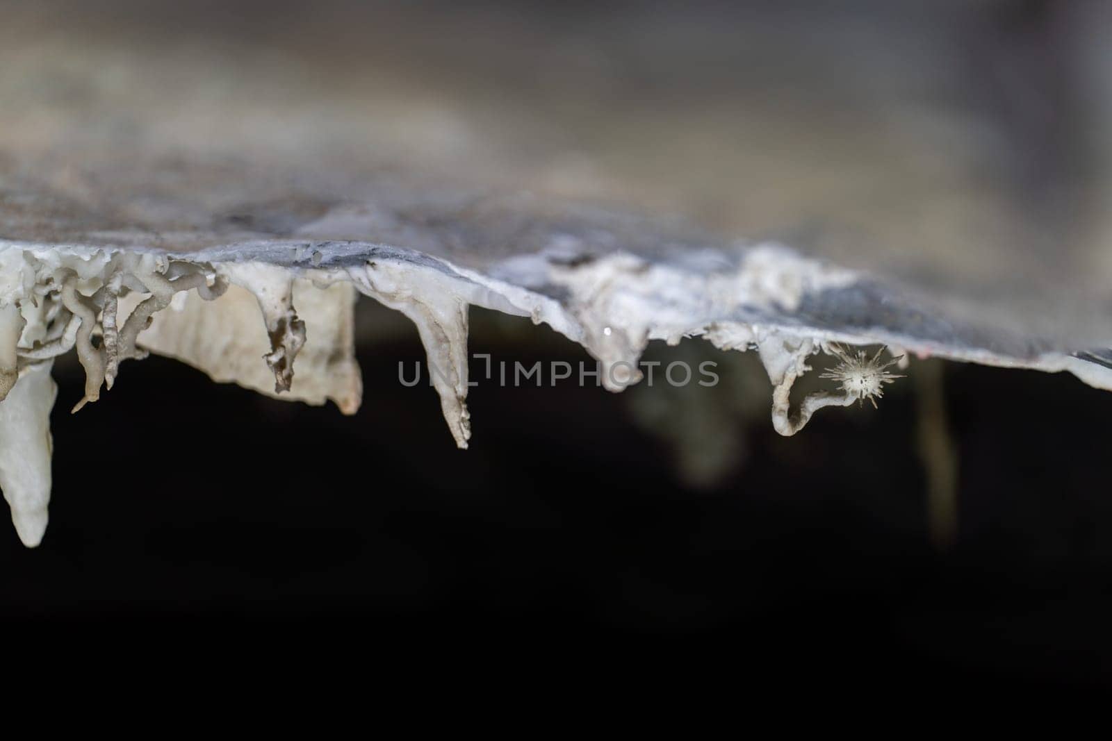 Close-up of stalactites with a hanging water droplet in a cave.