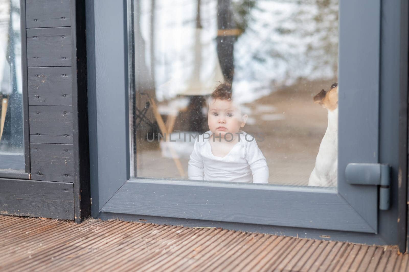 Cute baby boy and Jack Russell terrier dog looking through the patio window