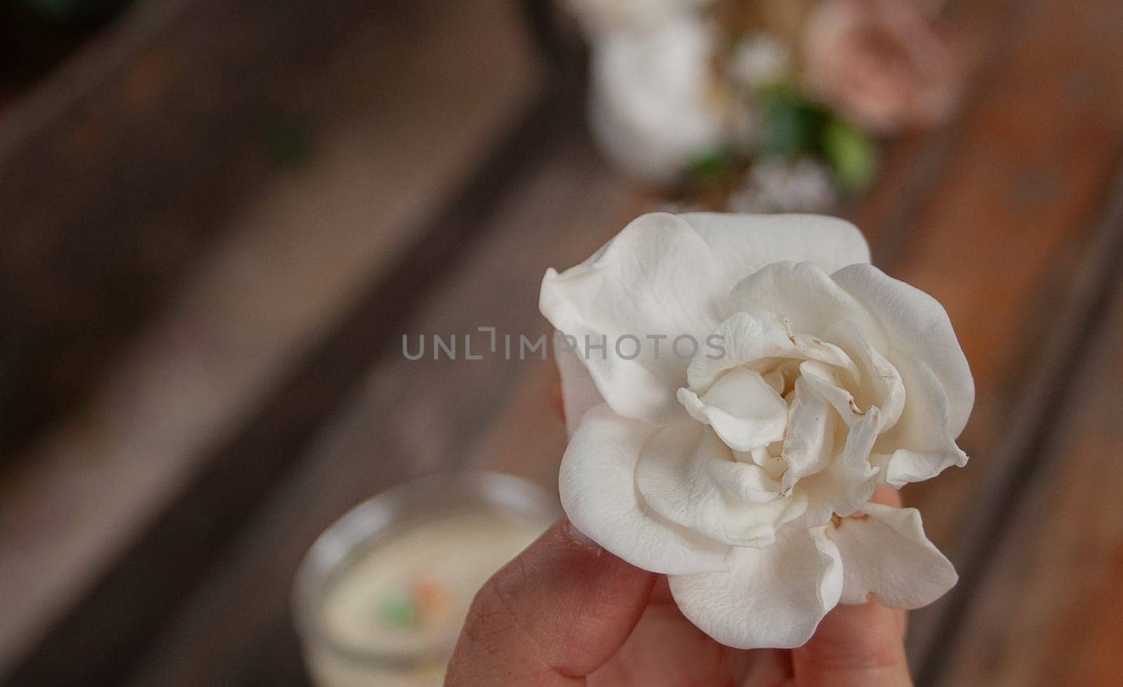 Close-up of woman's hand with white jazmin flowers on a blurred background by VeroDibe