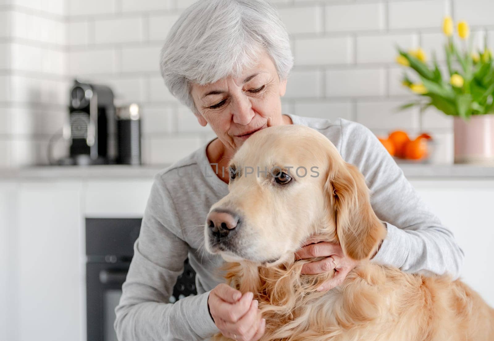 Woman With Grey Hair Enjoys Time At Home With Golden Retriever