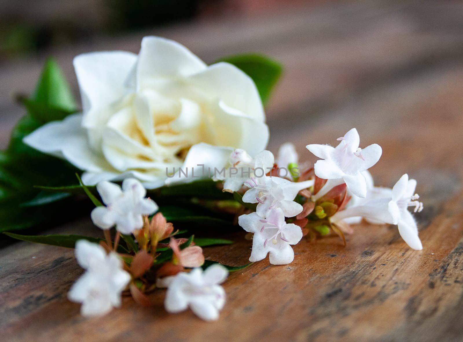 Scented jasmine white flowers on a brown rustic table. by VeroDibe