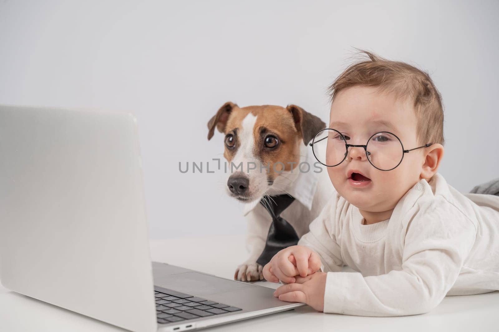 Cute baby boy and Jack Russell terrier dog working on a laptop