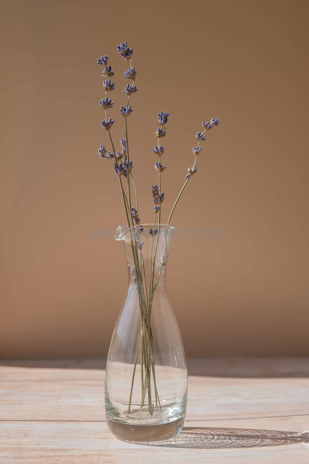 Dried lavender flowers in glass vase on neutral beige background. Minimal still life eco concept. Minimalistic interior decor with lavender flowers. Earth tones sustainability