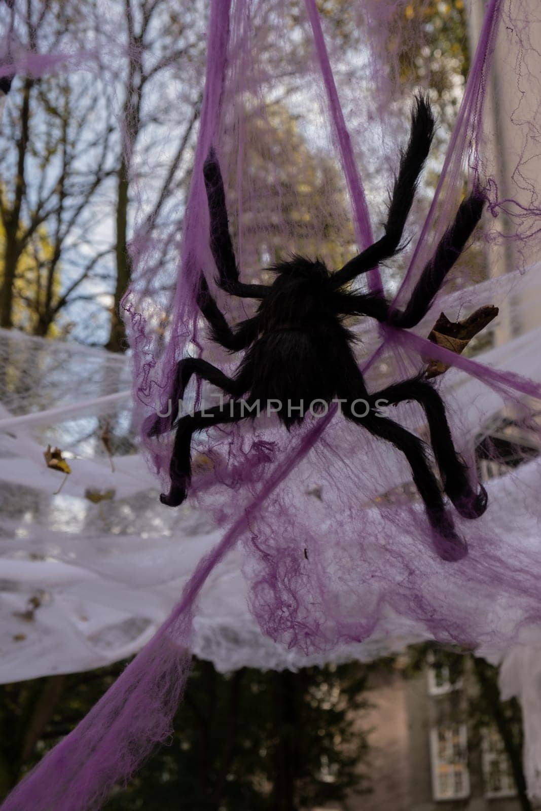 Exterior atmospheric halloween violet spider net decorated on porch celebration holiday for party decor. Thanksgiving October season outdoors in city