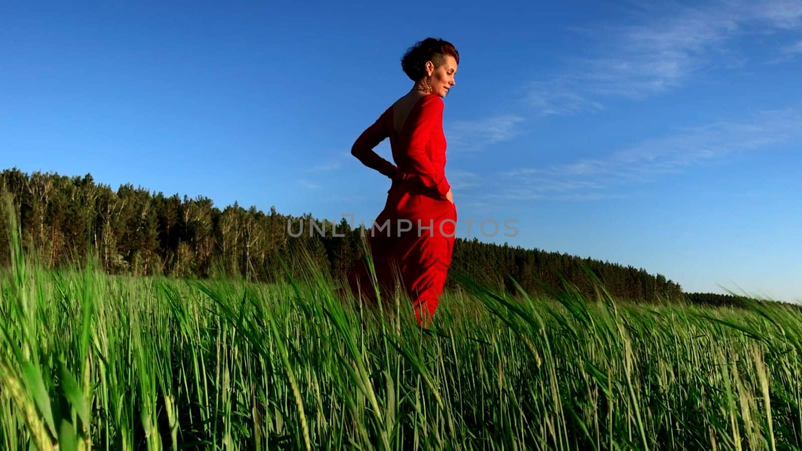 Portrait of an attractive woman in red dress in a field of fresh green wheat. Stock clip. Herbal background. amazing nature, farmland, growing cereals