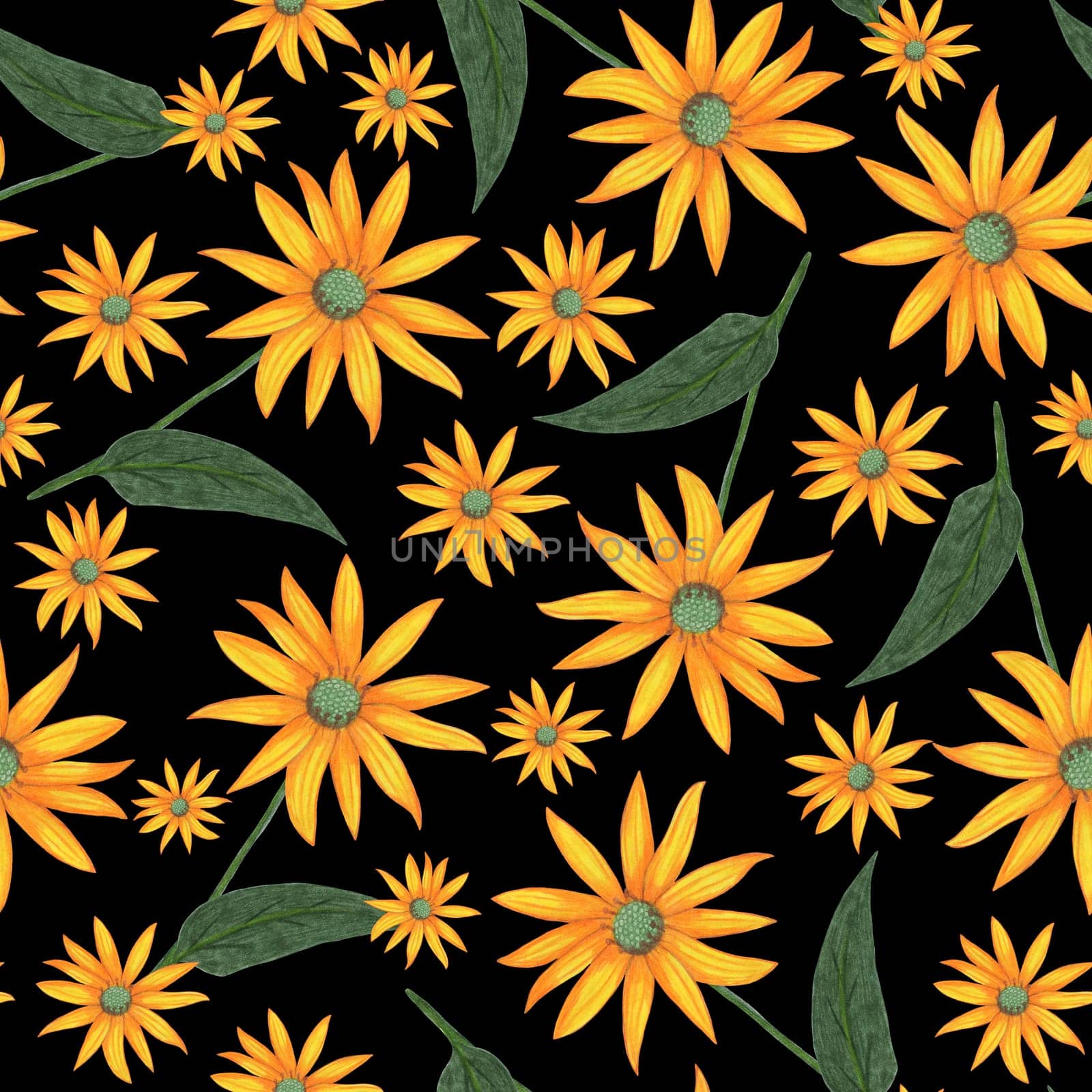 Topinambur Flower Seamless Pattern. Hand Drawn Floral Digital Paper on Black Background.