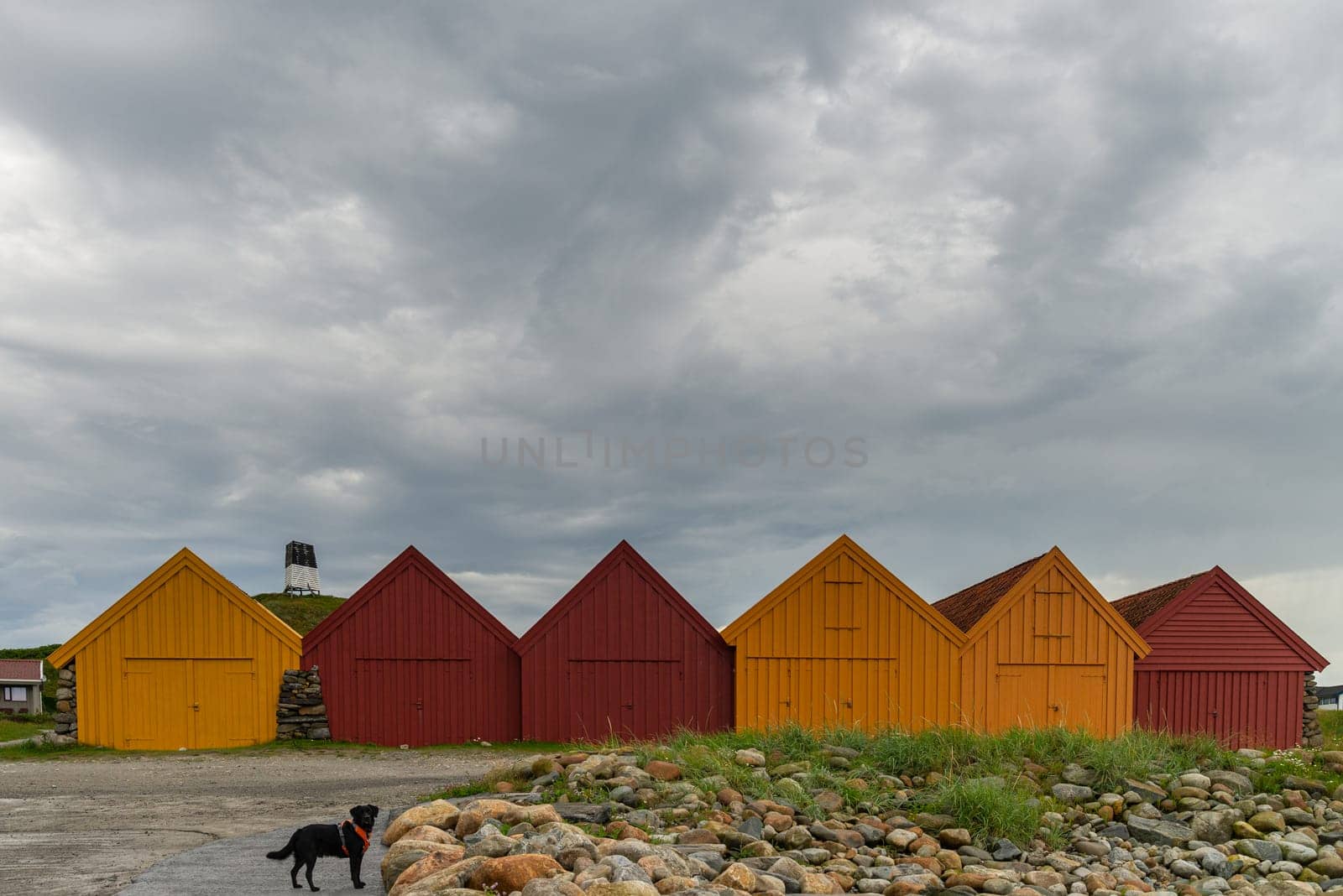 A row of vibrant red and yellow wooden sheds stands under a cloudy sky, with a black Labrador dog wearing an orange harness in the foreground.