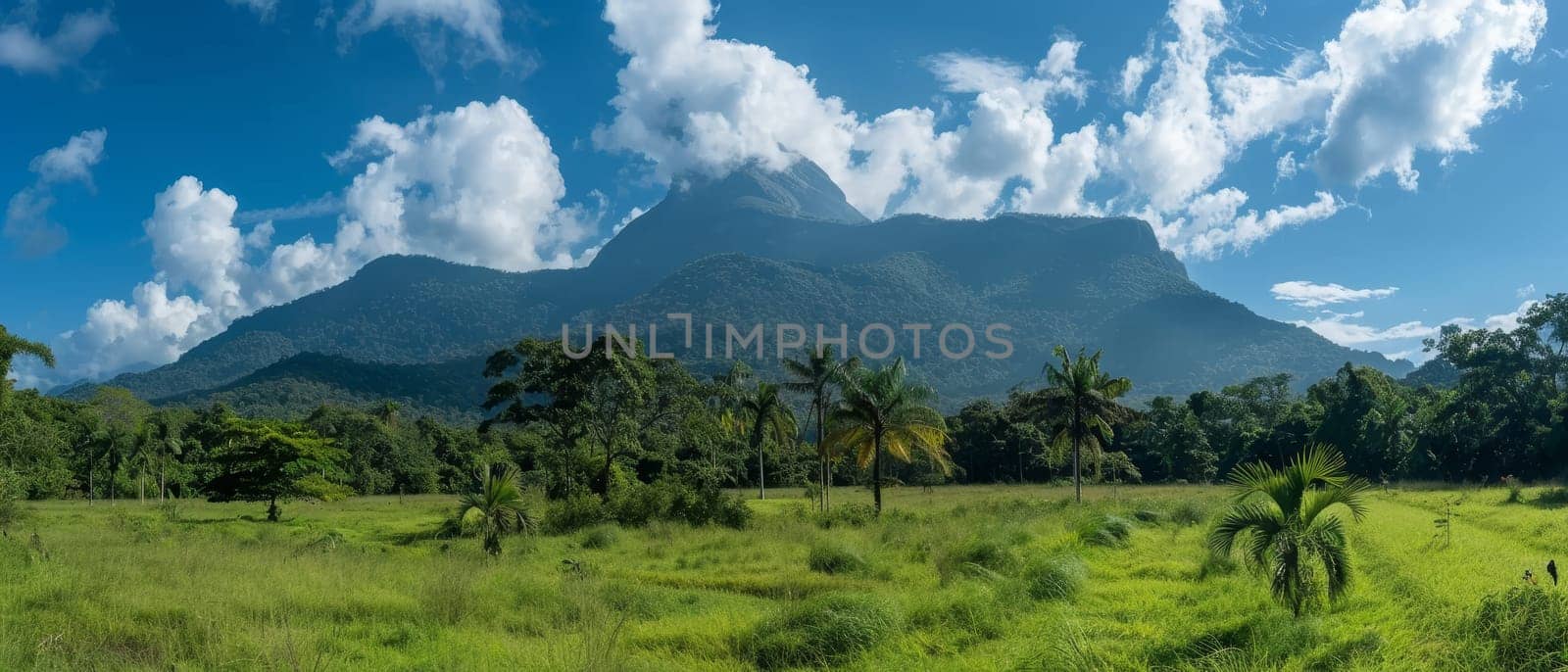 The lush greenery of a tropical landscape stretches out before a towering mountain, crowned with clouds against a clear blue sky. The scene exudes a feeling of wild, open space