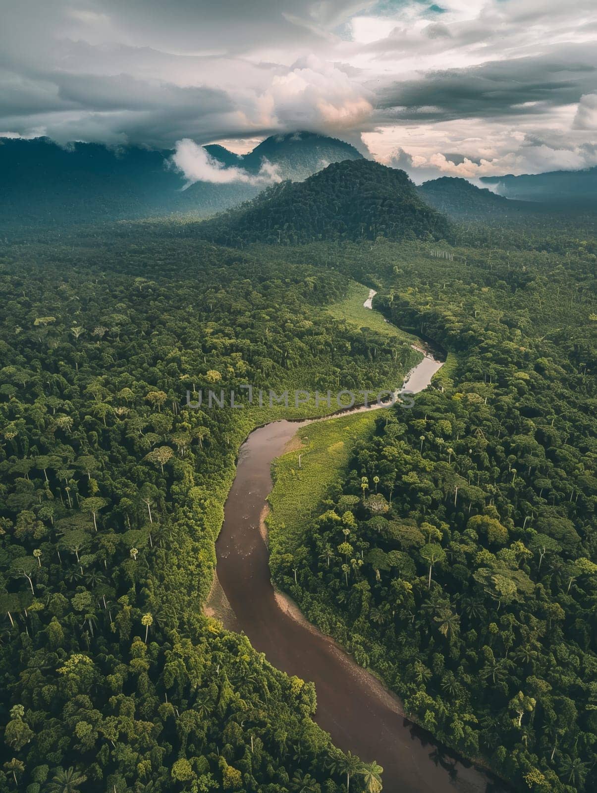 From an aerial vantage, a river snakes through a dense jungle as mist rises among the treetops, with the backdrop of mountains partially obscured by clouds. by sfinks