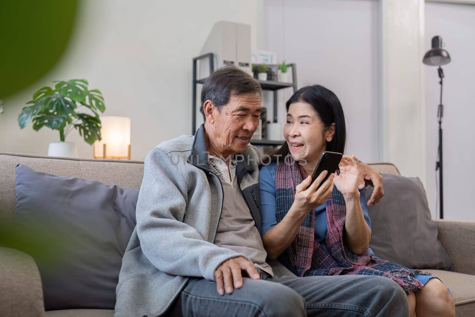 Senior couple enjoying time at home with smartphone. Concept of technology, companionship, and relaxation.