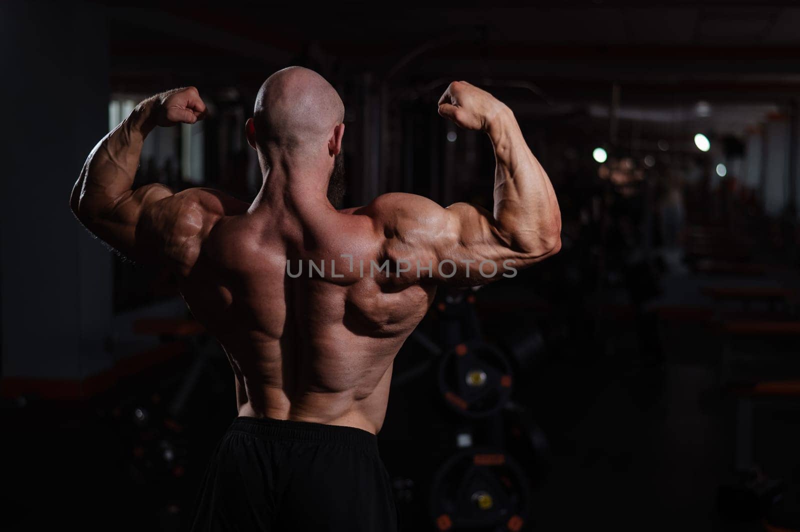 Caucasian bald man posing in the gym. by mrwed54