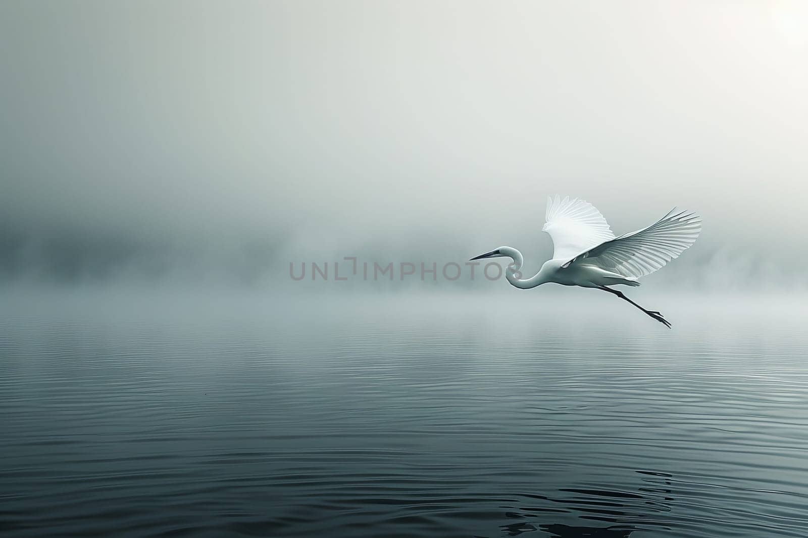 A white bird is flying over a body of water by itchaznong