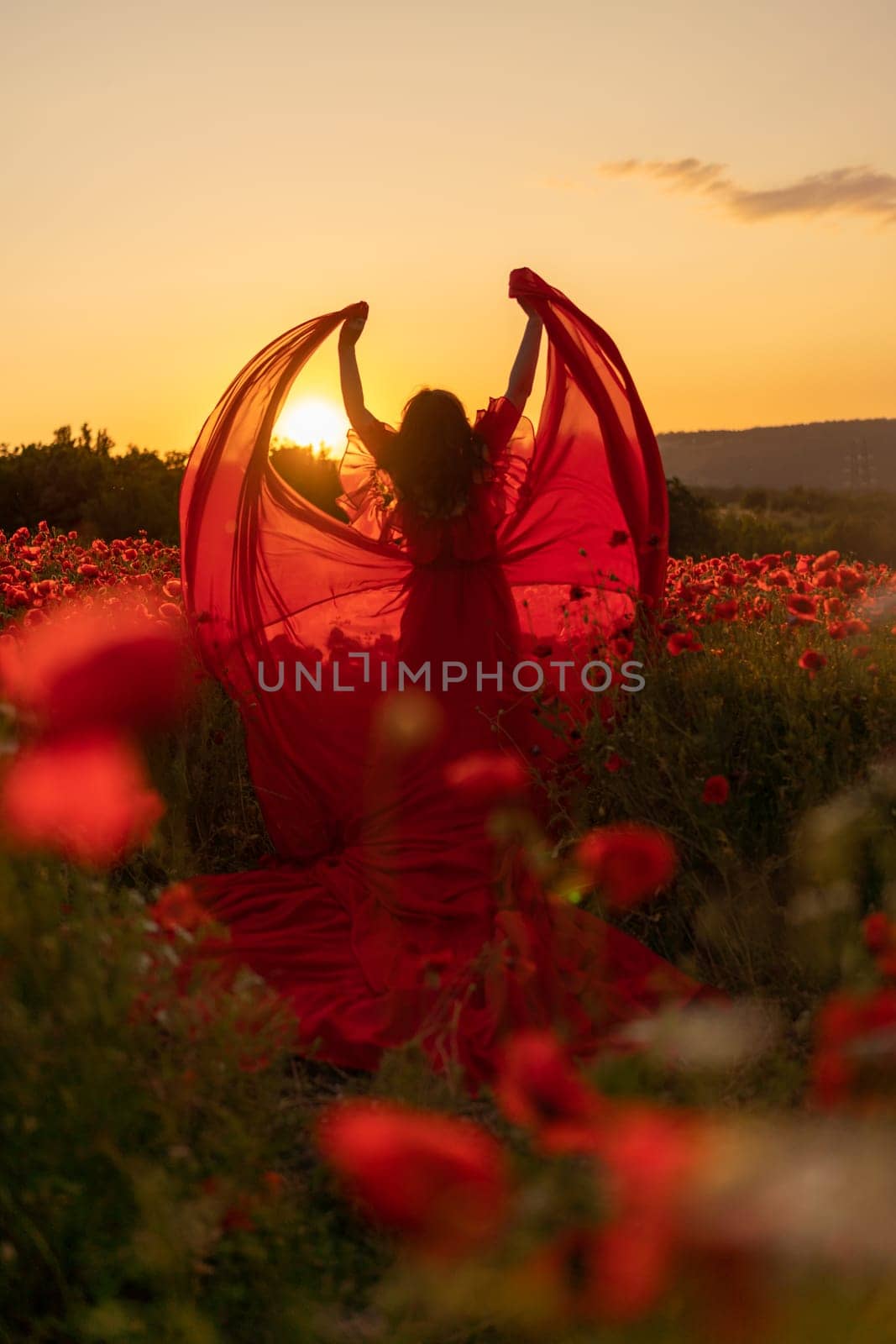 Woman poppy field red dress sunset. Happy woman in a long red dress in a beautiful large poppy field. Blond stands with her back posing on a large field of red poppies.