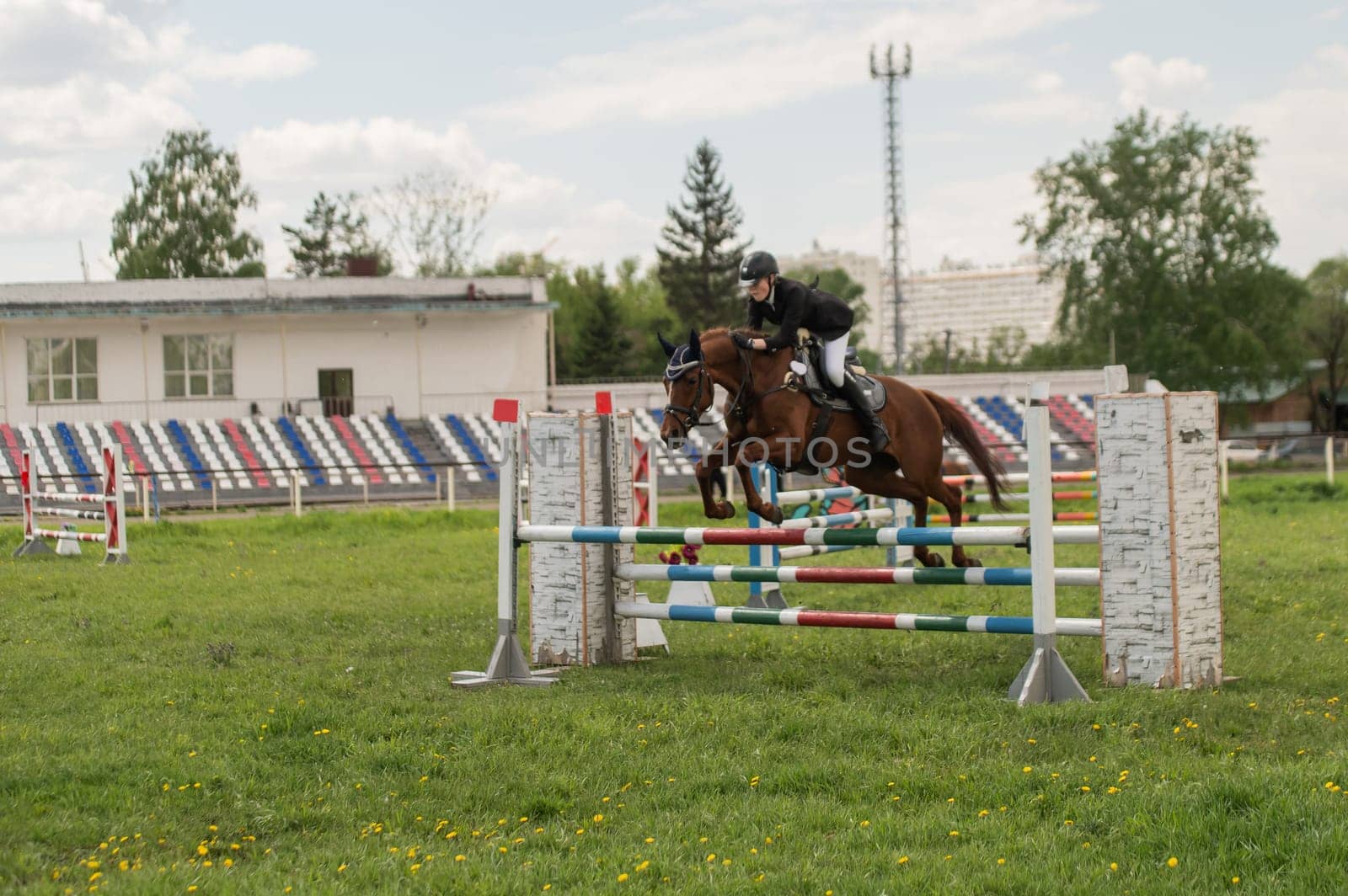 A young girl goes in for horse riding. A horse jumps over a barrier