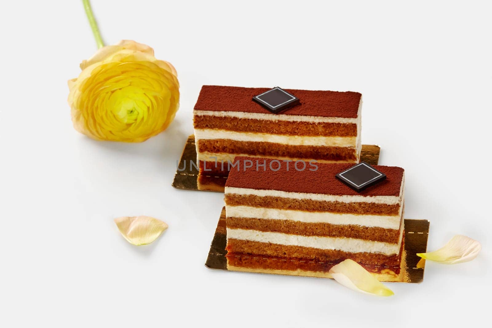 Light flavorful tiramisu slices with layers of moist coffee-soaked sponge and delicate mascarpone cream, sprinkled with cocoa presented on gold cardboards with yellow flower and petals on white
