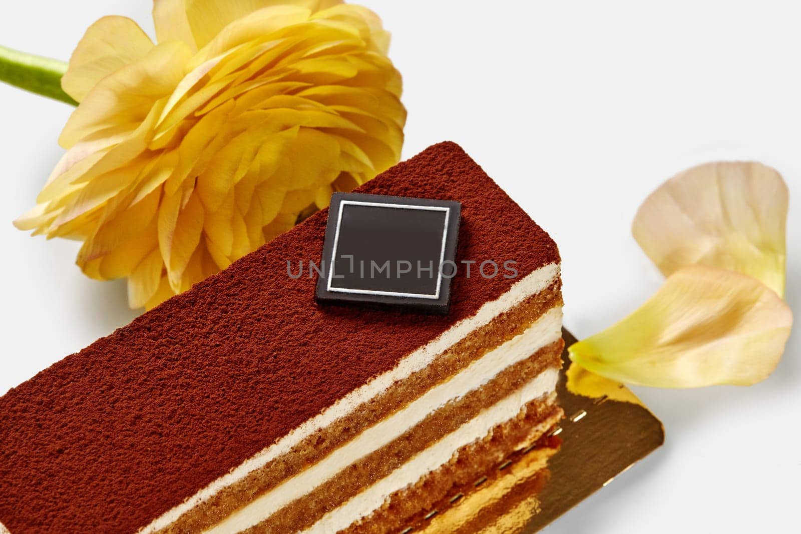 Elegant tiramisu slice with yellow flower on white background by nazarovsergey