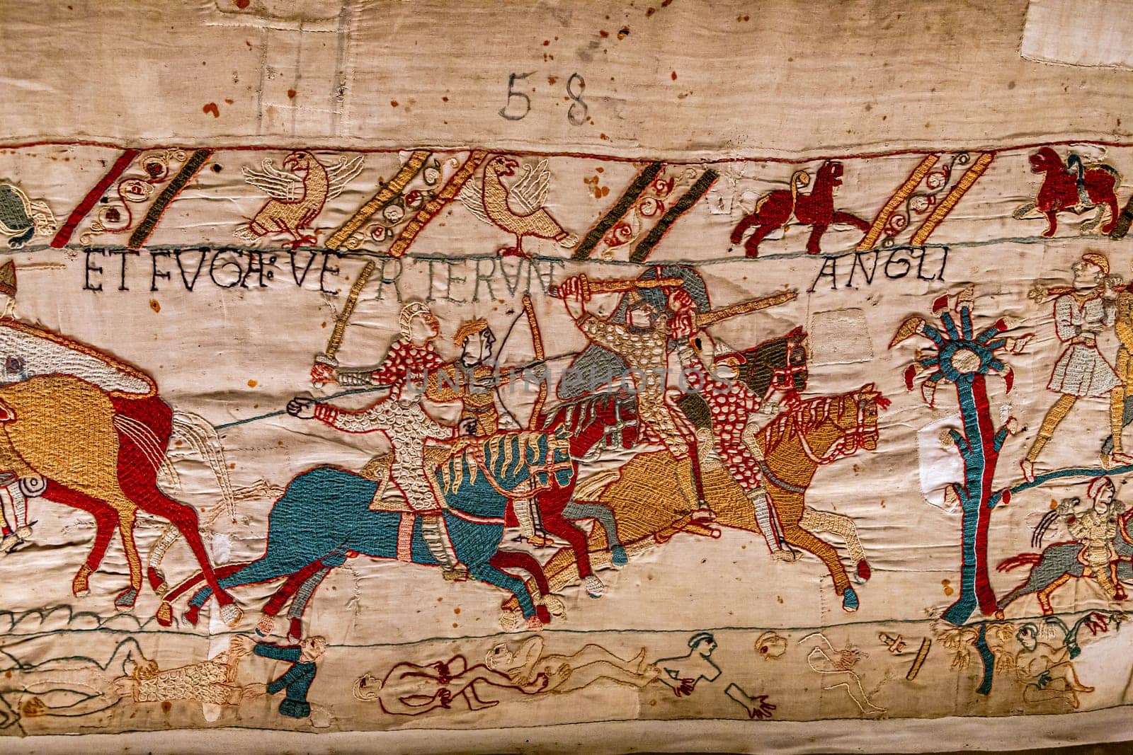 Bayeux tapestry, normandy, France by photogolfer