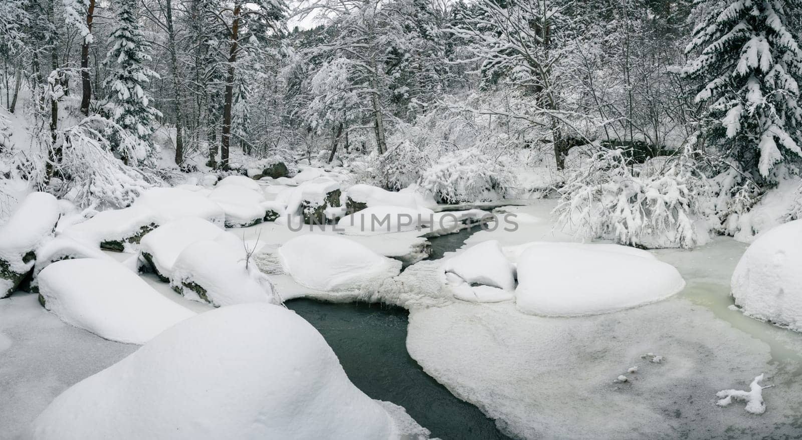 Winter landscape with fair trees under the snow.