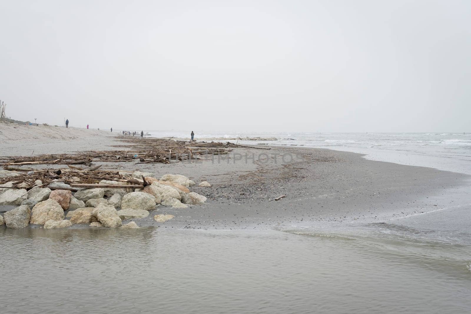 A beach with a gray sky and many branches and trunks brought by the storm, the sea is rough, overcast day, lido Adriano, Ravenna.