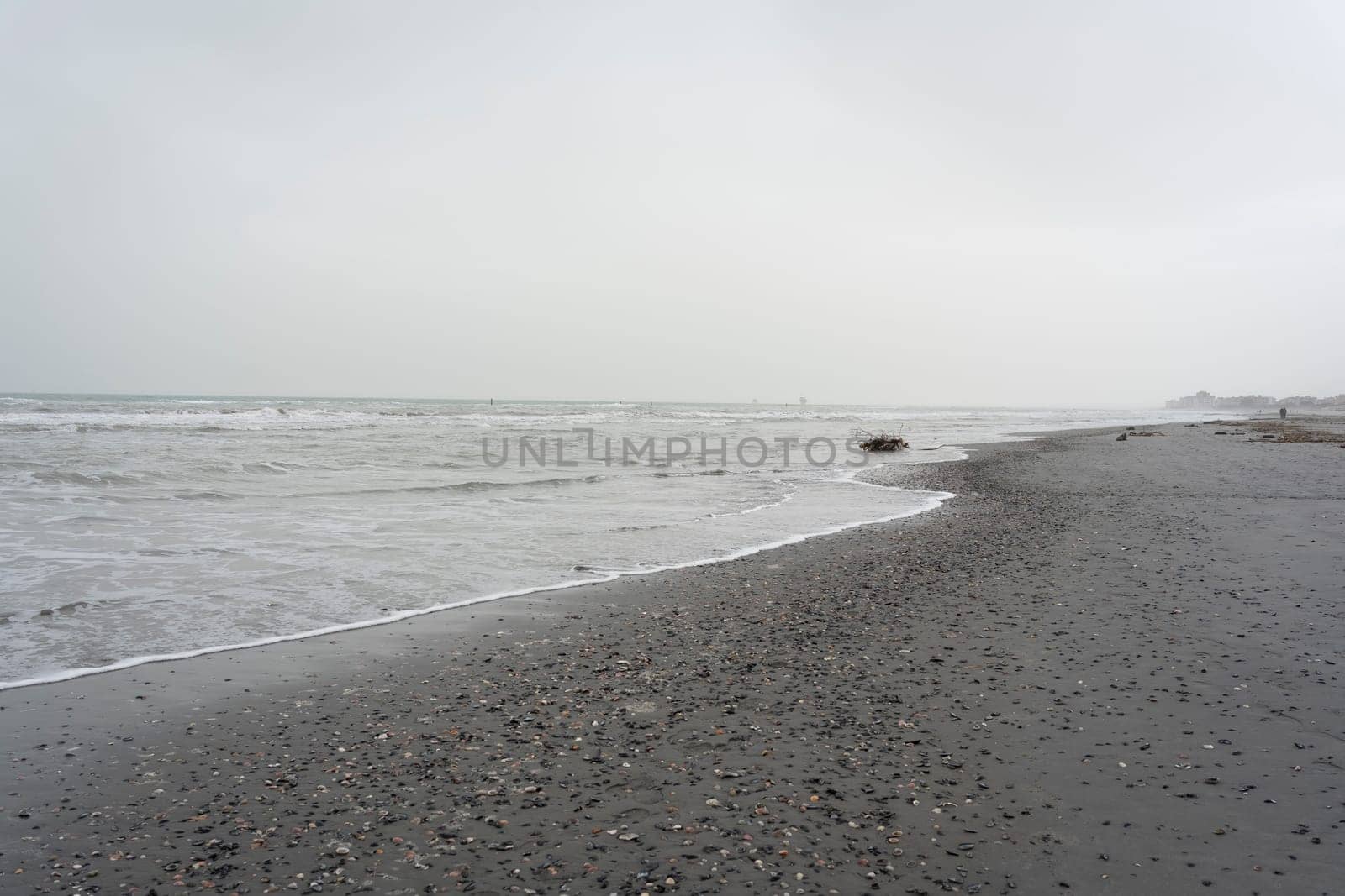 beach with a gray sky and many seashells brought by the storm at overcast day by Robertobinetti70