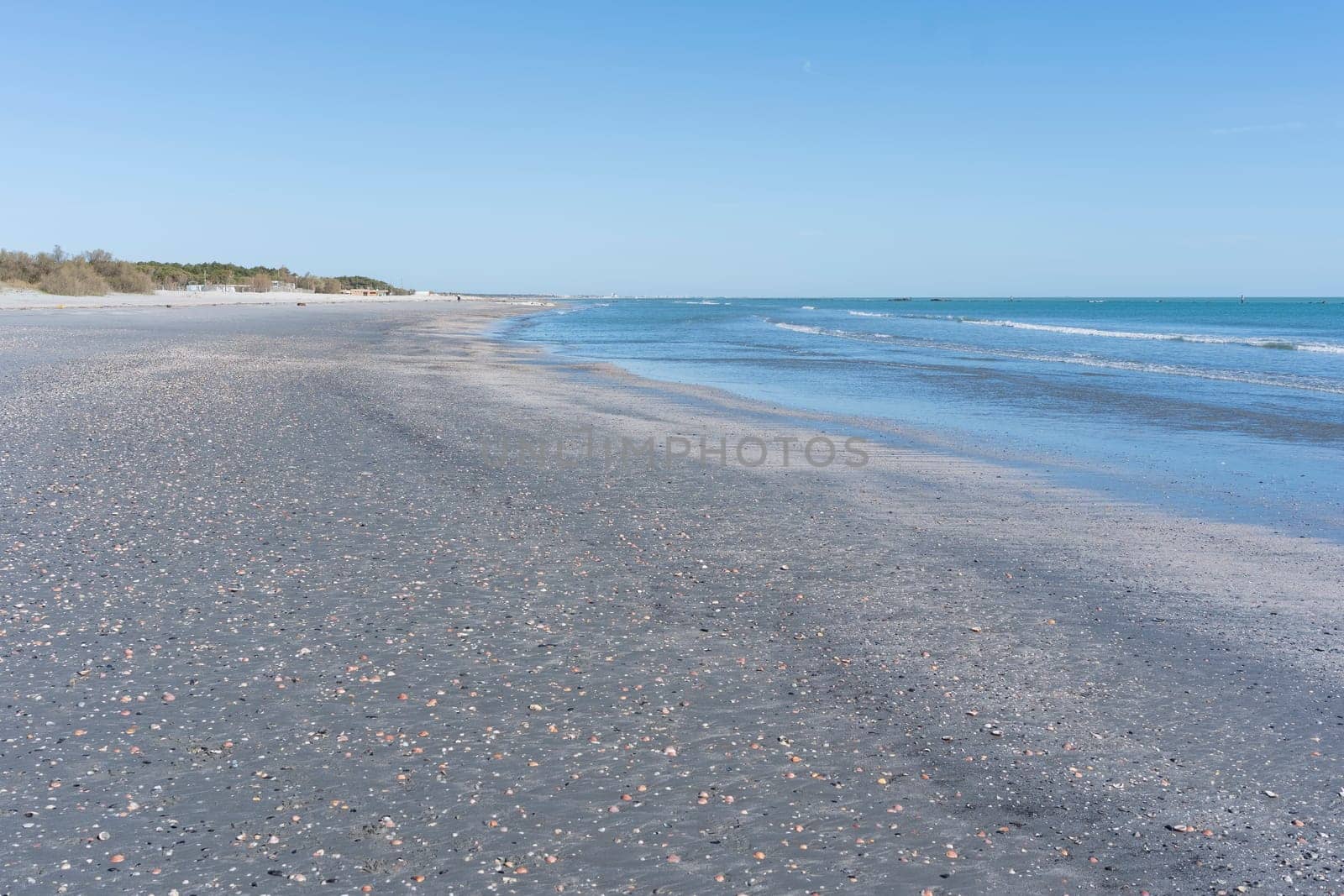 A beach with a clear sky and many seashells brought by the storm, the sea is calm and blue, lido Adriano, Ravenna.