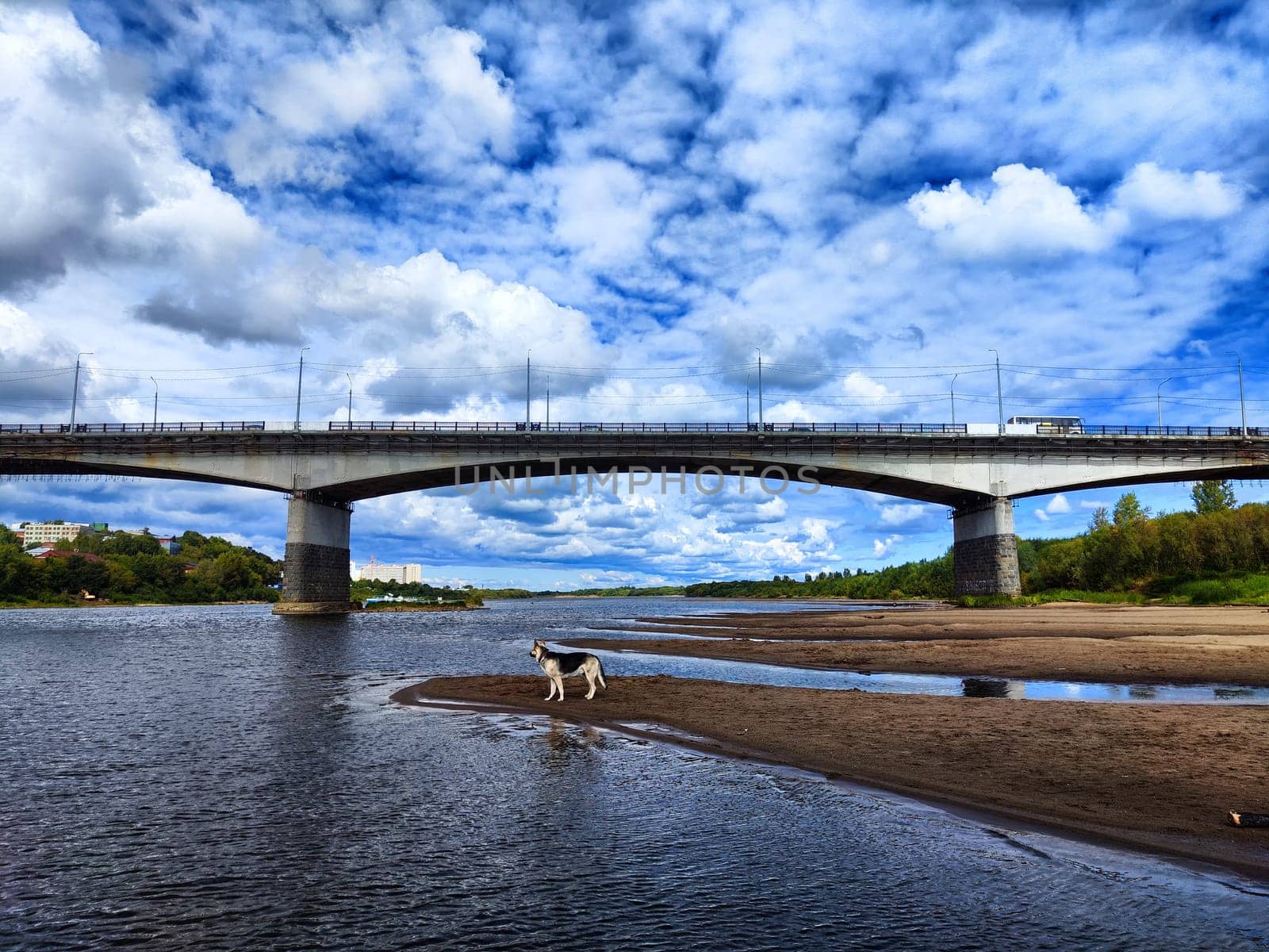 A large bridge extends over a calm river, with an overcast sky and urban buildings visible in the background